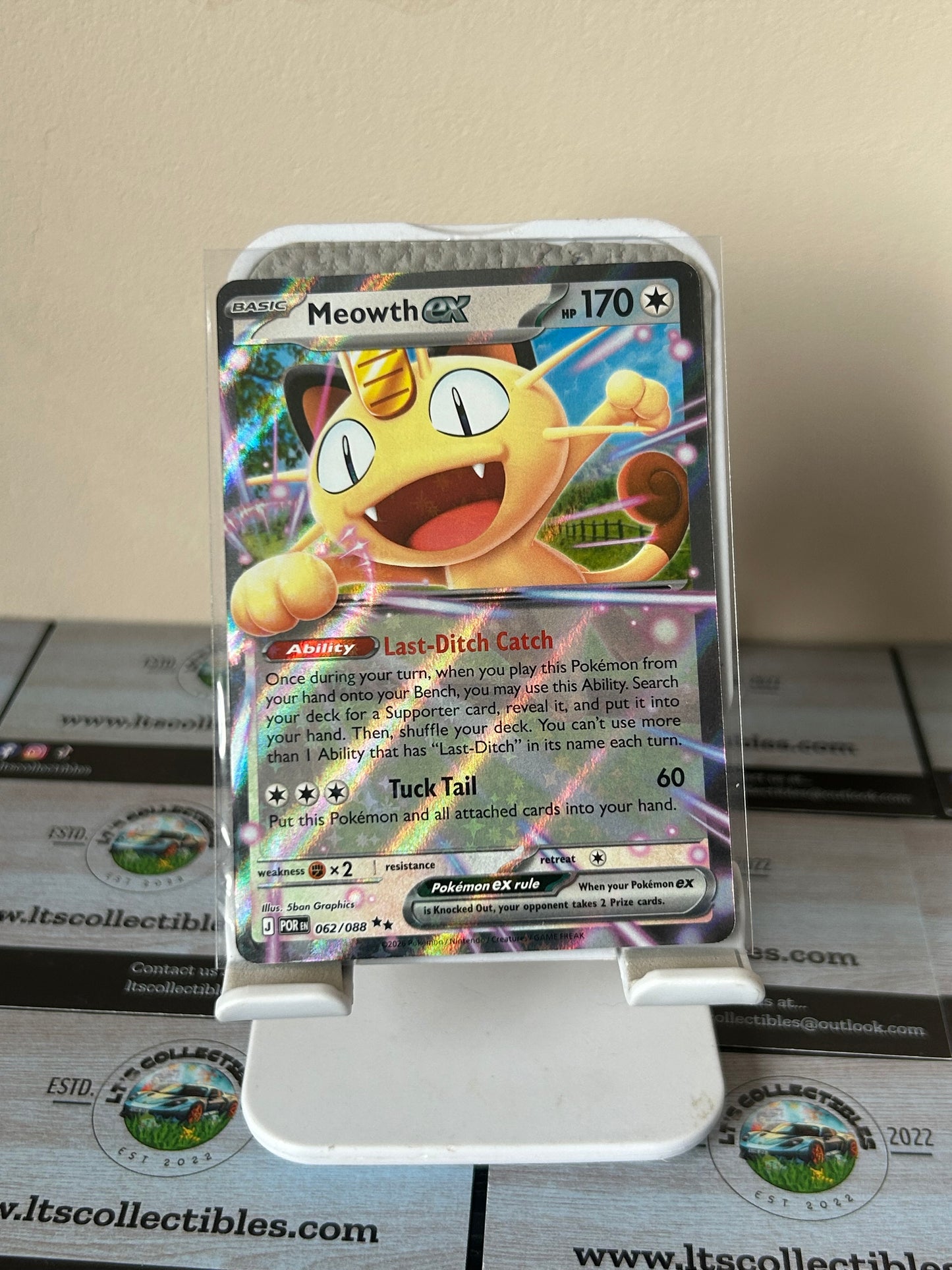 Pokemon - Meowth EX (062/088)